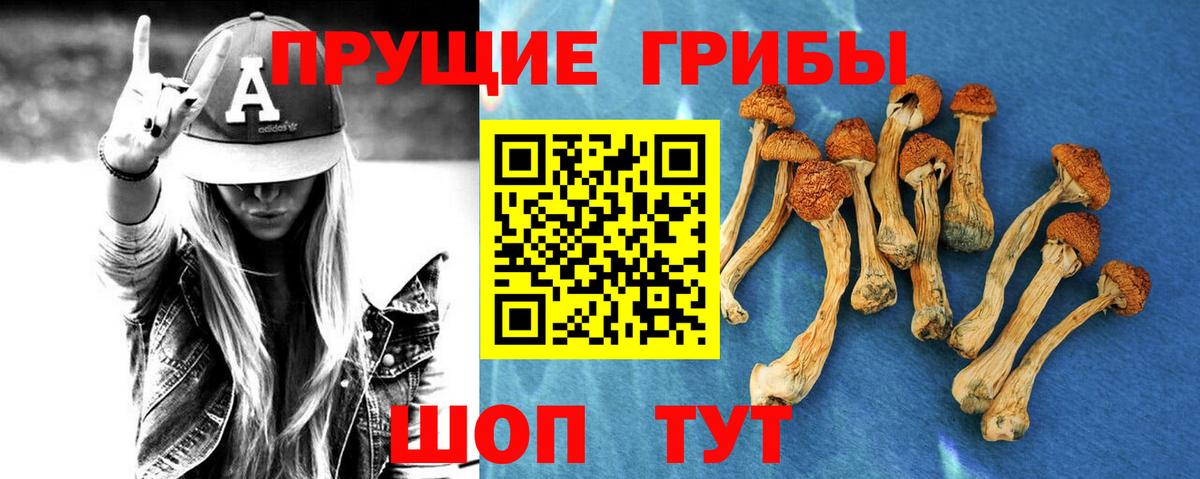 Псилоцибиновые грибы Psilocybe  Вход с VPN  Каспийск 